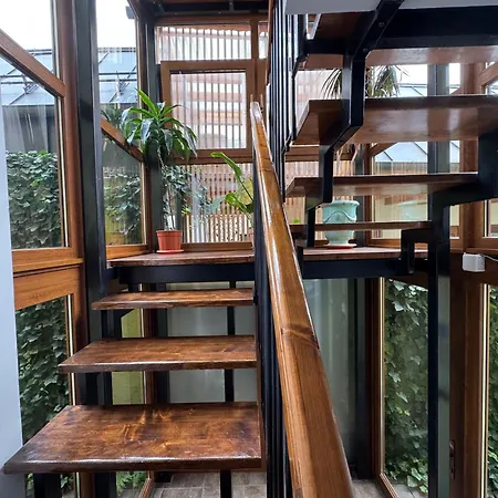 Lucas 10 克卢日-纳波卡