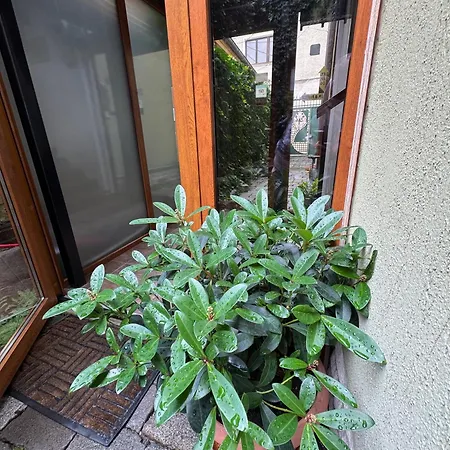 Lucas 10 3* Κλουζ-Ναπόκα