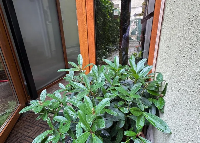 Lucas 10 3* Kolozsvár